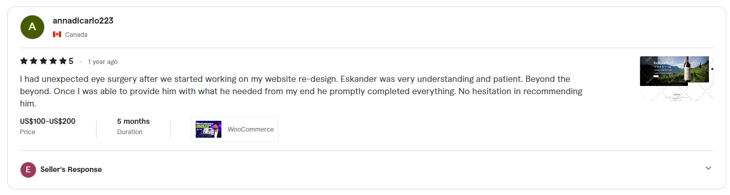 Fiverr review screenshot from annadicarlo223