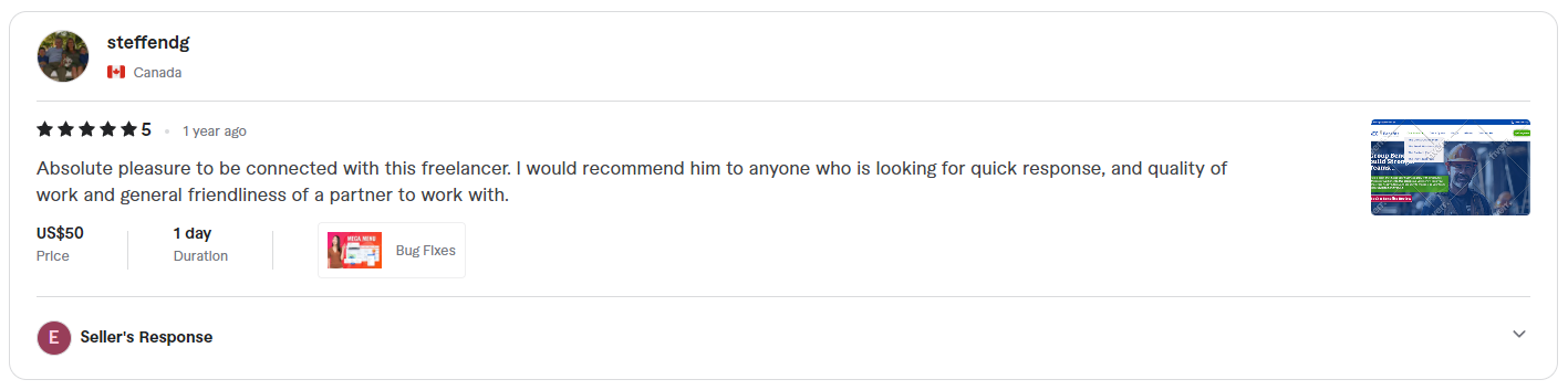 Fiverr review screenshot from steffendg